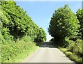 Road  north  from  Wye  past  Olantigh