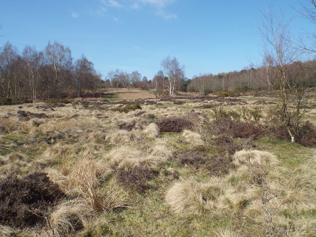 Colours of late winter – heathland... © Robin Stott :: Geograph Britain ...