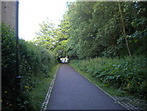 SD4762 : Footpath and cycle path along ex railway line, Lancaster (2) by Richard Vince