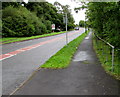 Path railings alongside Pontarddulais Road Llangennech