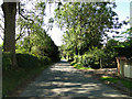 The road through Lindsey Tye near Swallows Farm