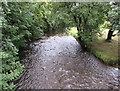 Afon/River Morlais, Llangennech