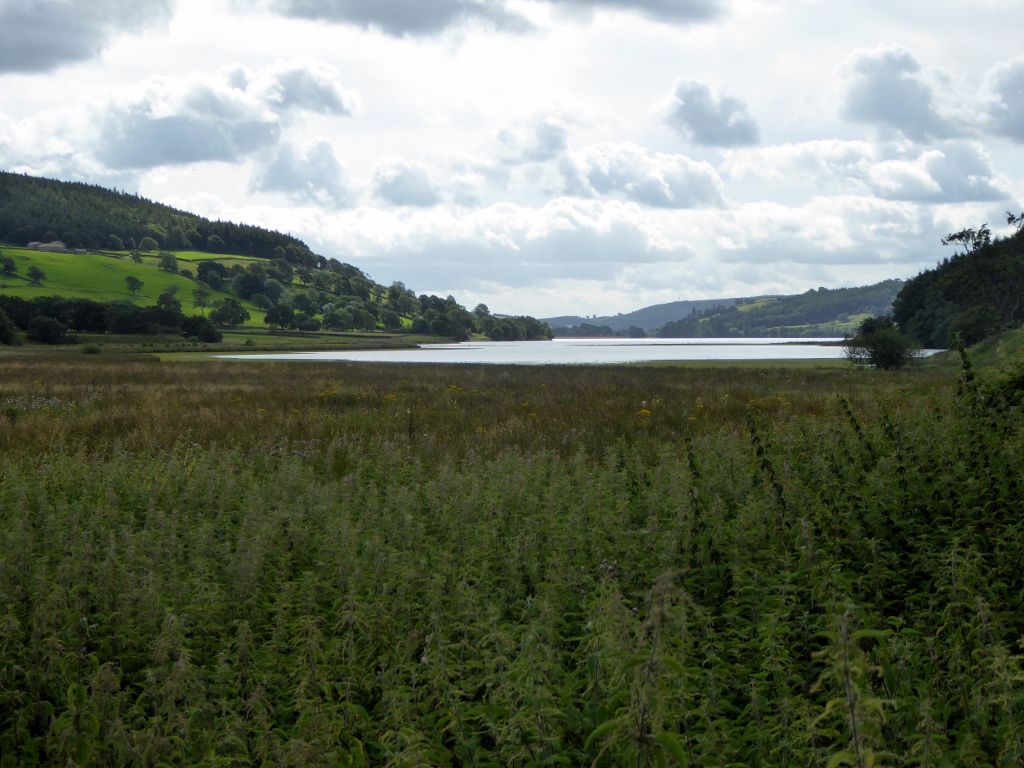 Gouthwaite Reservoir © Phil and Juliette Platt cc-by-sa/2.0 :: Geograph ...