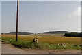 Farmland at Greenmyre