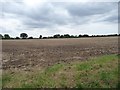 Farmland south-east of Potash Farm