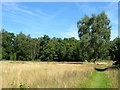 Scaynes Hill Common