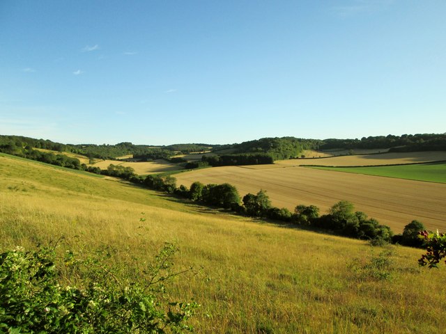 From downs grassland to arable ... © Martin Dawes cc-by-sa/2.0 ...