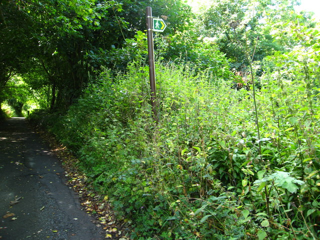 Sign for completely overgrown footpath