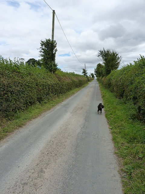The lane east of The Down