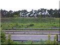 Looking across the A14, Bury St Edmunds