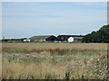 Crop field towards Brookside Farm