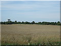 TL0436 : Crop field near Ruxox Farm by JThomas