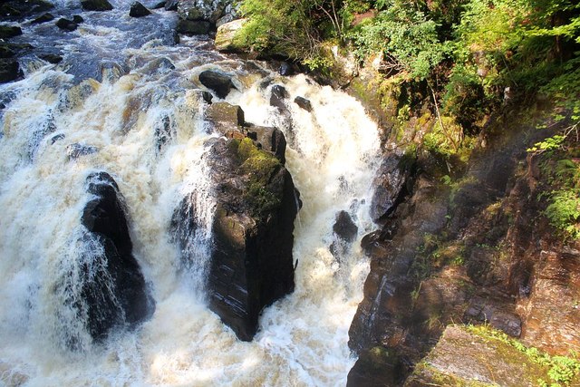 Salmon, Black Linn Falls, Dunkeld © Bob Embleton cc-by-sa/2.0 ...