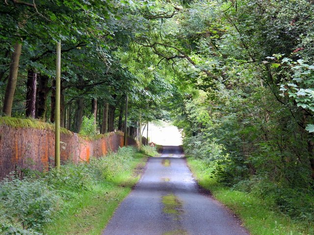 Scotland Lane in North Wood