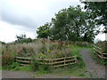 Footpath along disused railway at Duns