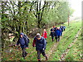 Llwybr Llanbad Fawr Path