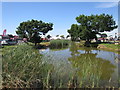 Ponds near Sissinghurst Road