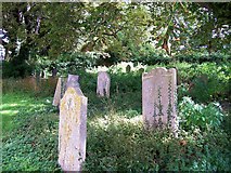 TF0919 : Neglected area of the churchyard at Bourne, Lincolnshire by Rex Needle