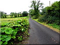 Ferney Road, Tullynincrin