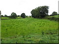 Hackincon Townland