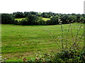 Cabragh Townland