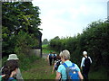 Llwybr Penbwch Path