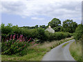 Narrow lane south-west of Swyddffynnon, Ceredigion