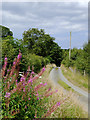 Narrow lane south-west of Swyddffynnon, Ceredigion