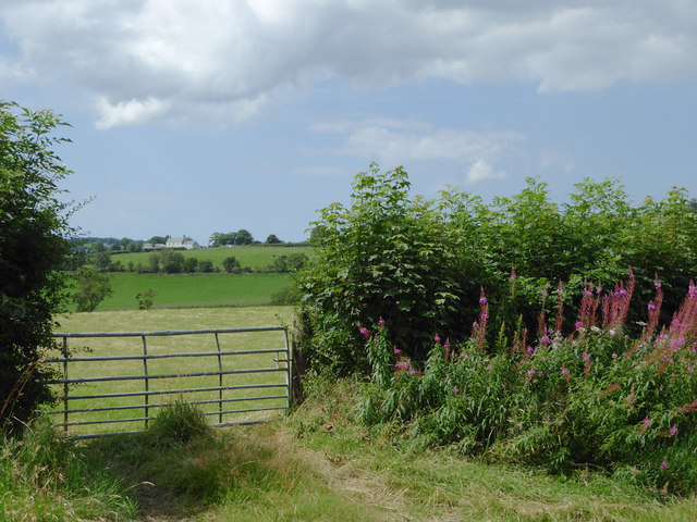 Gate into pastures near Swyddffynnon, Ceredigion