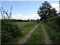 Farm track, East Cottingwith Common