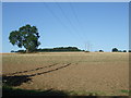 Farmland and power lines, Petterhills 