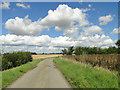 Way Bank Lane near Boyton Hall