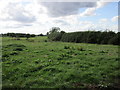 Grazing land north of Storwood