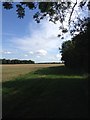 View near Firtree Hill Farm