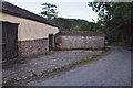 North Devon : Country Lane