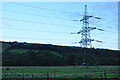 North Devon : Grassy Field & Pylon