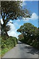 Road near Polston Brake