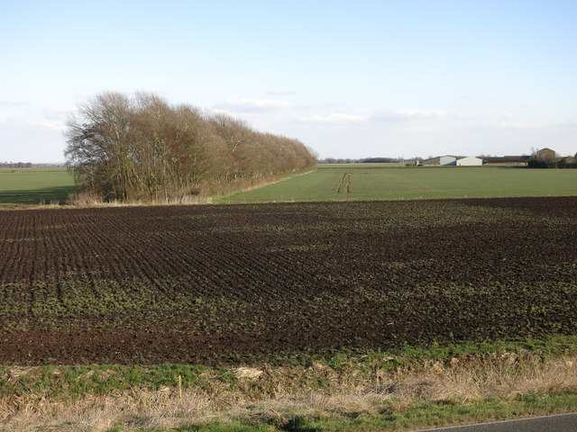 Fields by Ouse Washes
