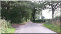 Rural road at Black Coppice