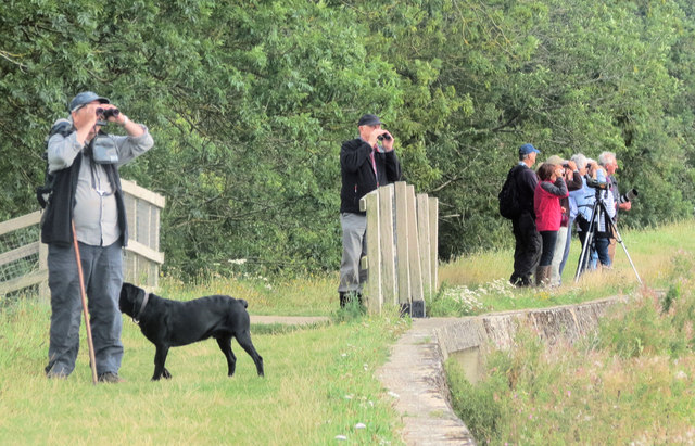 A Flock of excited Bird Watchers at Wilstone Reservoir