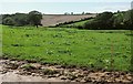 Farmland near Lixton