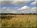 Fields and clouds