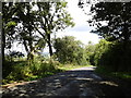 Looking down the hill in the direction of Little Marlborough