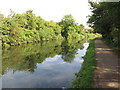 Paddington Branch canal near Ruislip Road