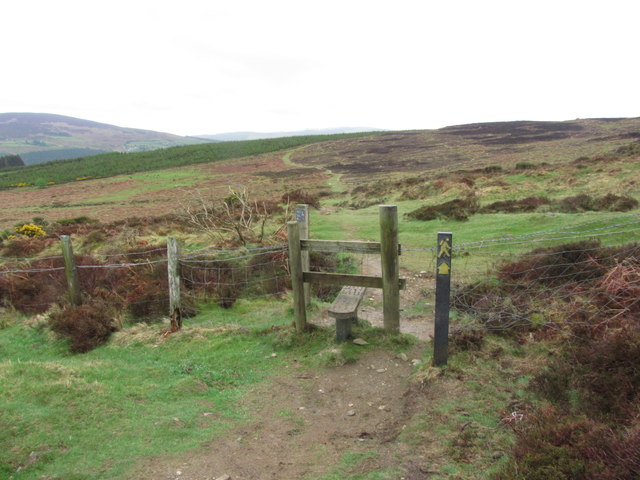 The Wicklow Way - Path leading S towards Paddock Hill near Laragh