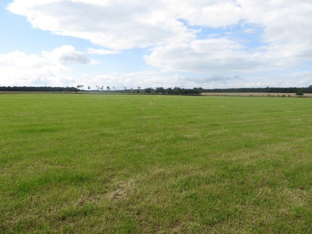 Grass field west of Newtonbarns