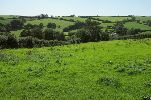View over Boarshill