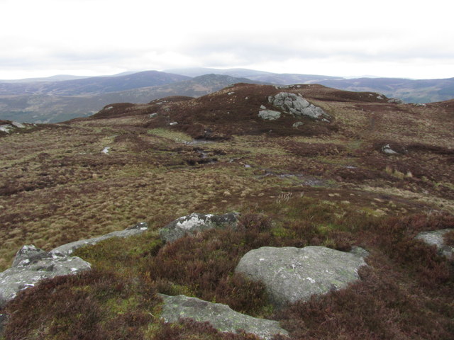 The undulating summit area of Bracket Rocks, Wicklow Mountains