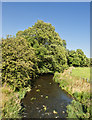 Stock Beck upstream from Horton Bridge