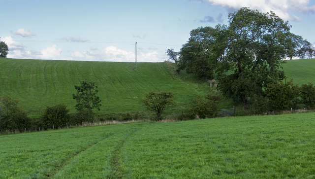 The path to Pit Hill